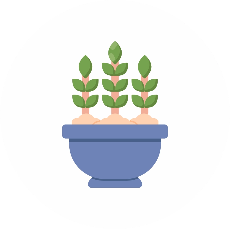 Mentoring & Inkubasi Ide Ikon